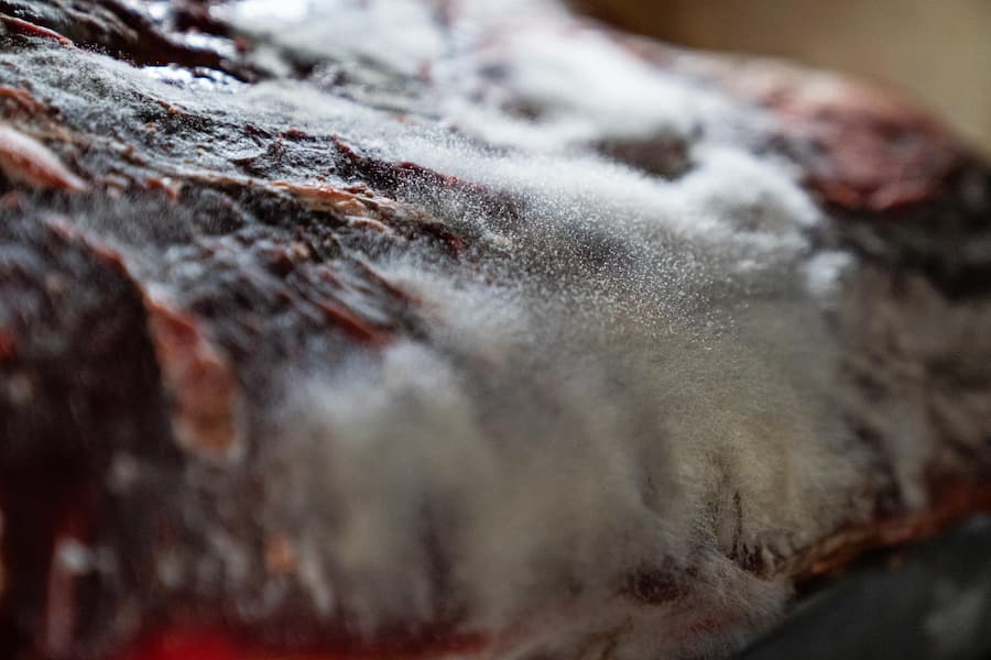 Stefan Heilemann, Küchenchef im Widder Zürich zu Besuch bei Luma Delikatessen - November 2021 - Copyright Olivia Pulver