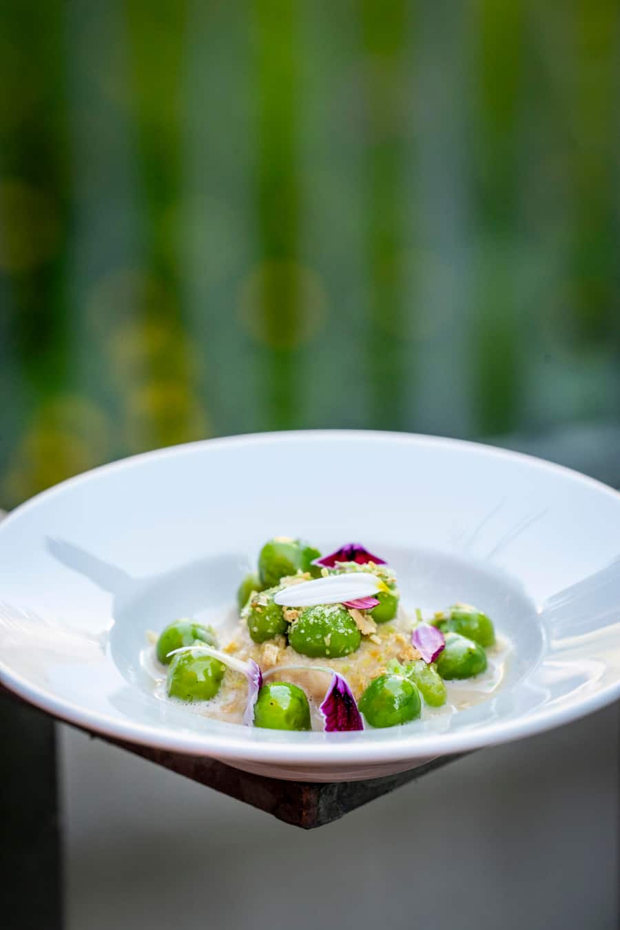 David Rosza / Hotel Belvedere Grindelwald / Grindelwalder Heu, Zwiebel und gründe Erbsen