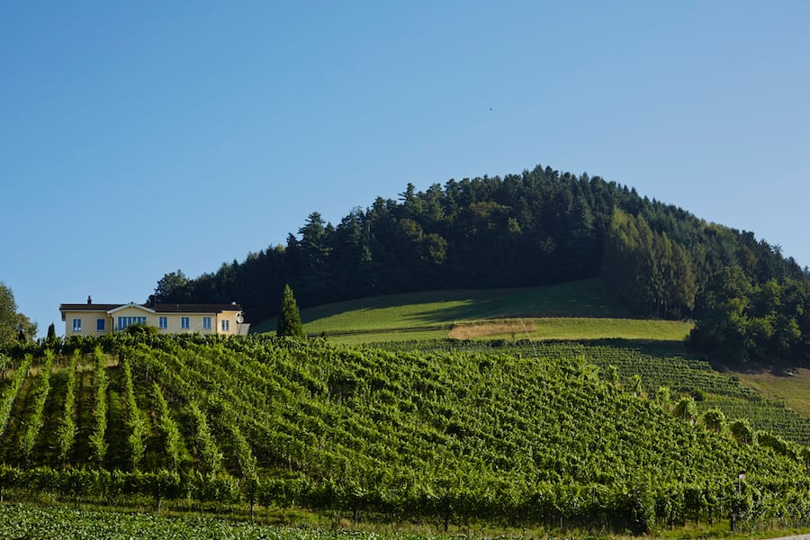 www.weingut-bisang.ch