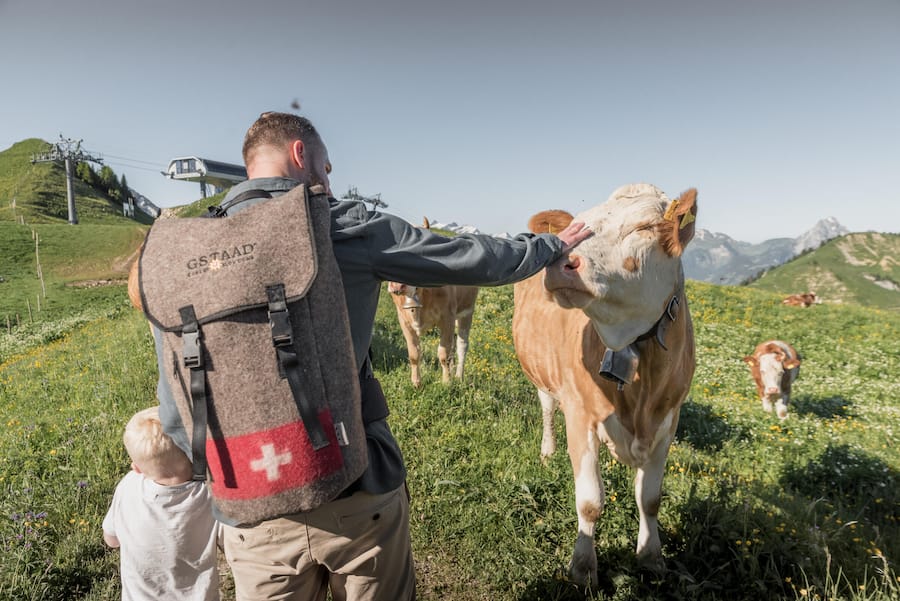 Die Wander-Fotos wurden mehrheitlich auf der Wanderung Turbach â Giferspitz â Turbach gemacht. Und die Bike Fotos stammen alle von der Panoramaroute: Gstaad - Gruben - Oberbort - Turbach - Gstaad. HO via Gstaad Saanenland Tourismus, Byline Yannick Romagnoli / Gstaad Saanenland Tourismus