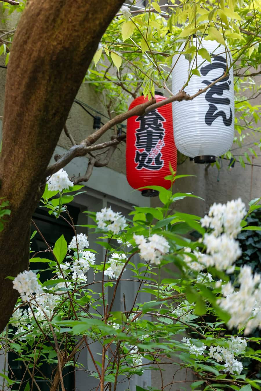 Garten Neumarkt Cucina Itameshi