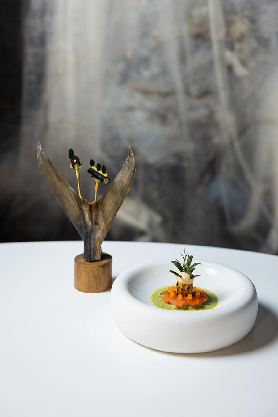 13.06.2025, Vals GR, Restaurant Silver, Hamachi mit Codium-Algen und Rettich (photo by Remy Steiner for Gault Millau)