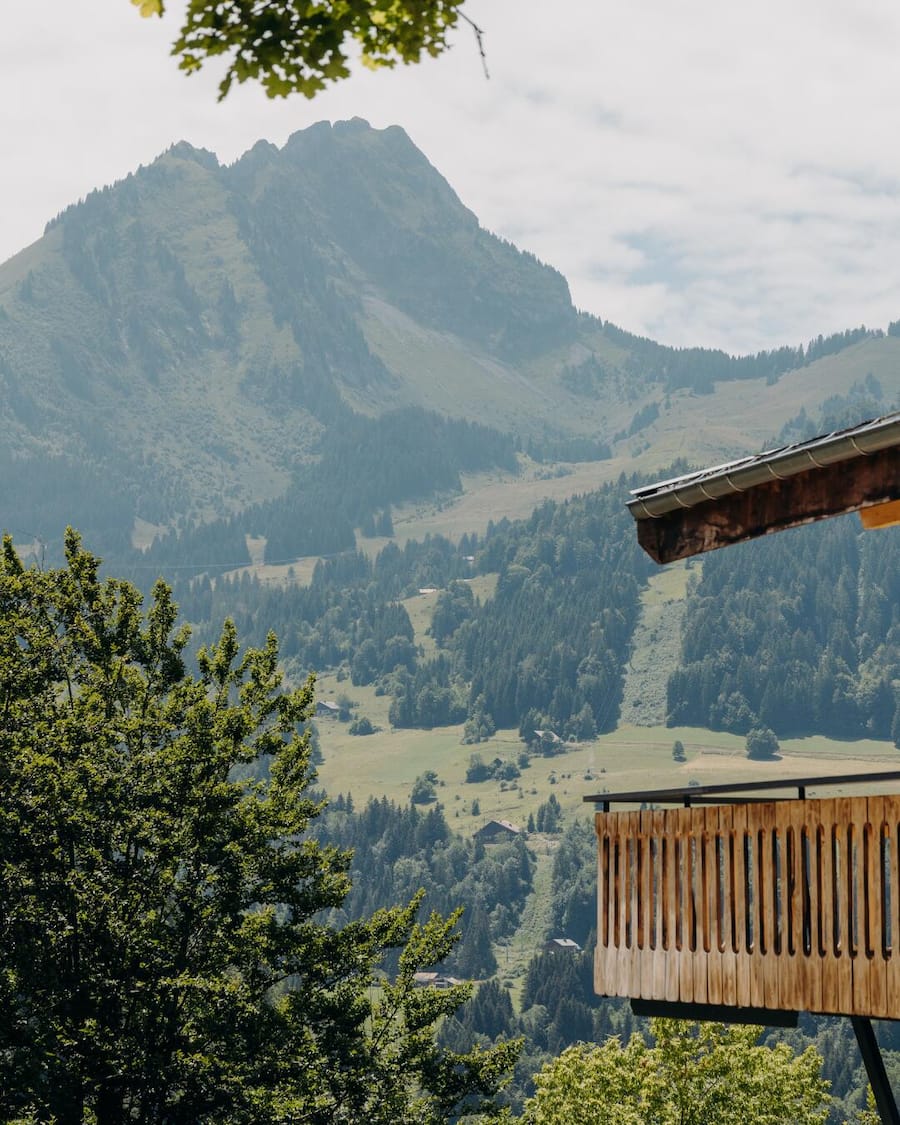 Multi Vol Vert Chalet Flachaire Abondance