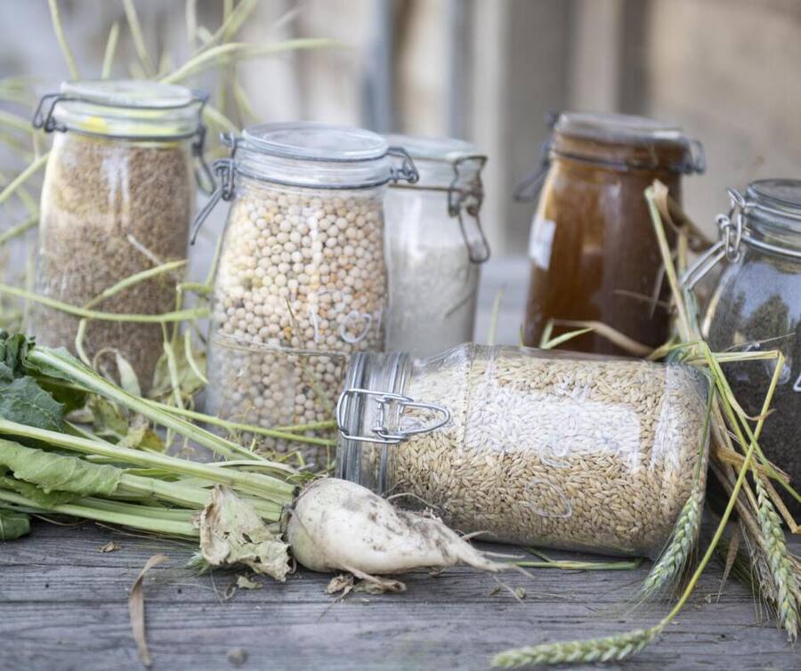 MulticolhorValentin Chappuis