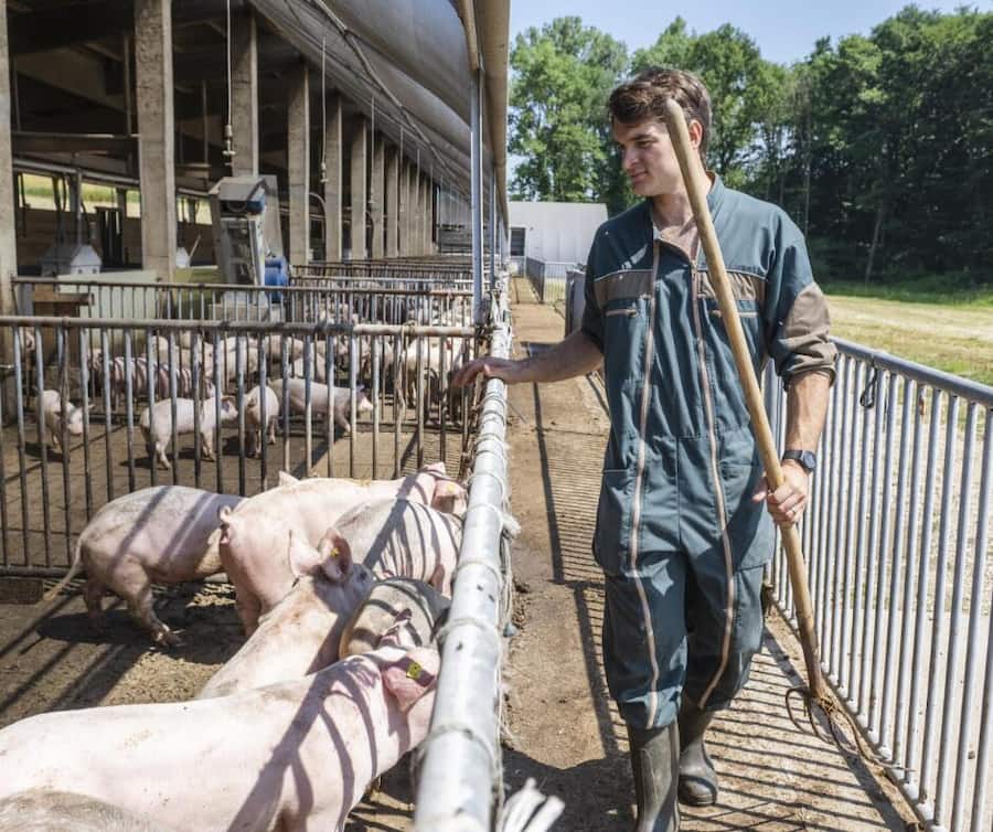 MultiColHorValentin Chappuis