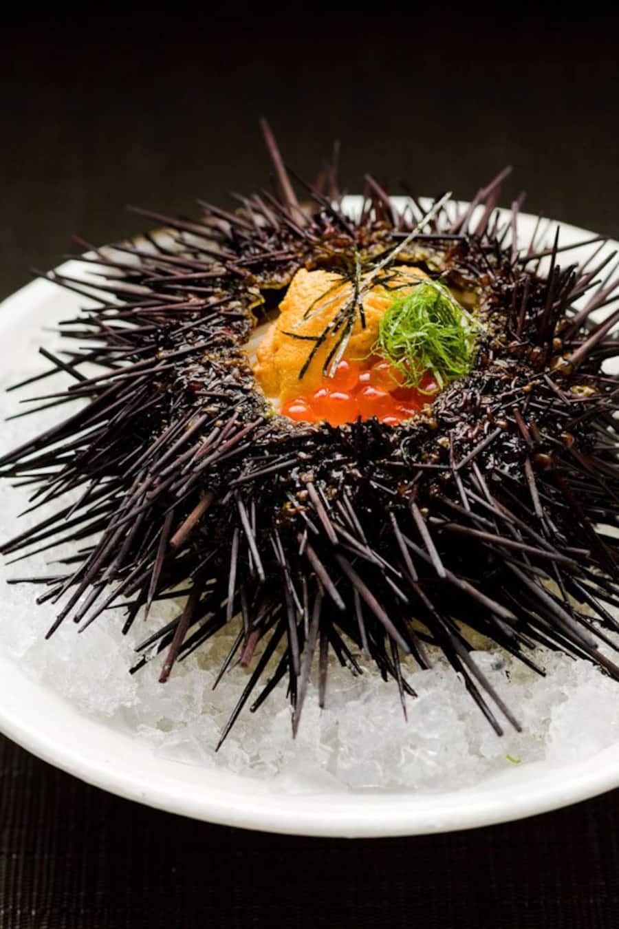 Raku Seeigel mit pochiertem Ei und Lachsrogen