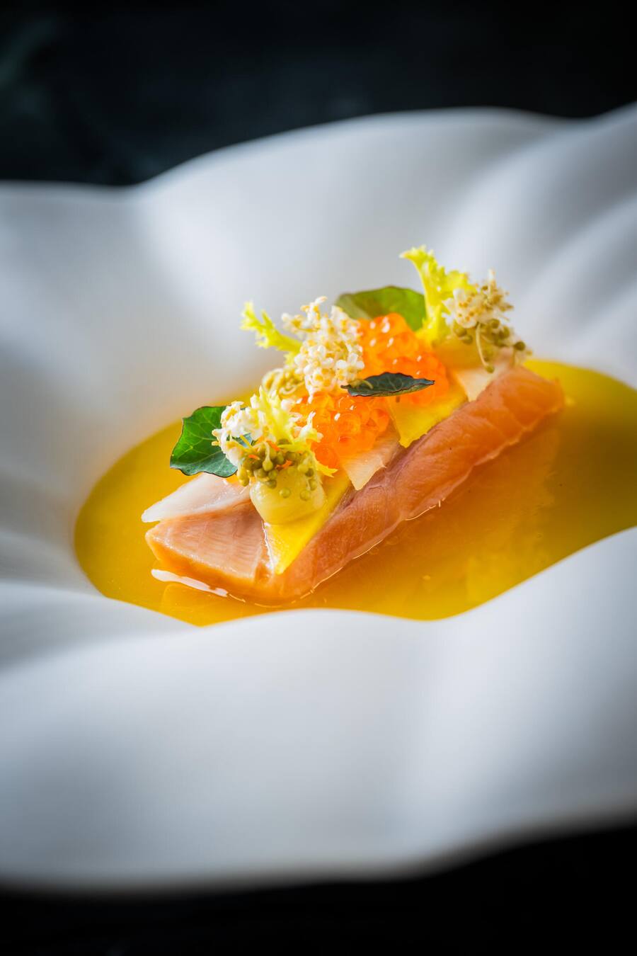 Seesaibling, Kohlrabi und gelbe Peperoni-Vinaigrette mit Holunderblüte