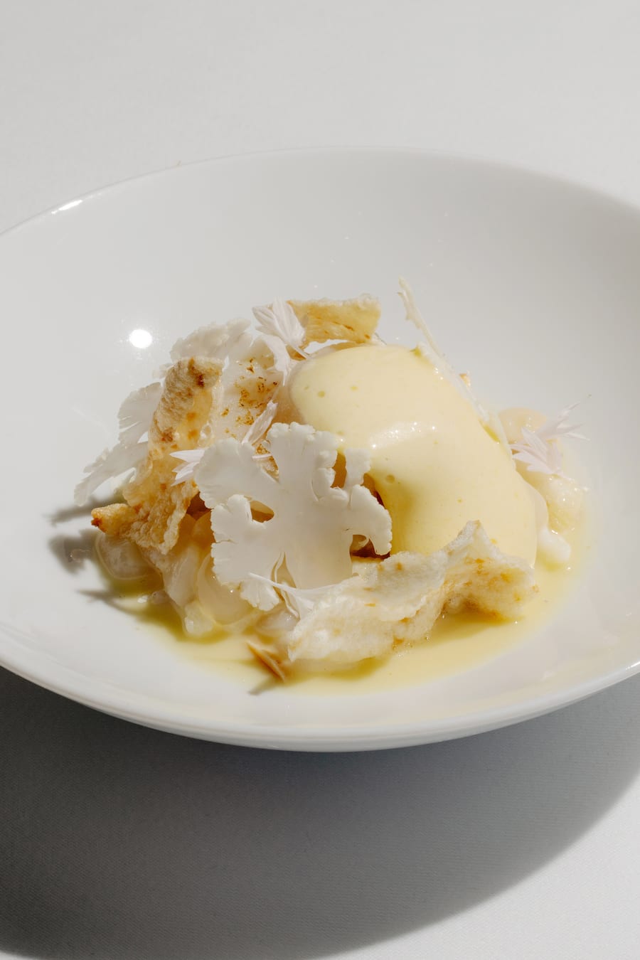 GaultMillau Garden Party 2025: Jakobsmuschel, Mandel-Ceviche und Blumenkohl von Tanja Grandits (Stucki)