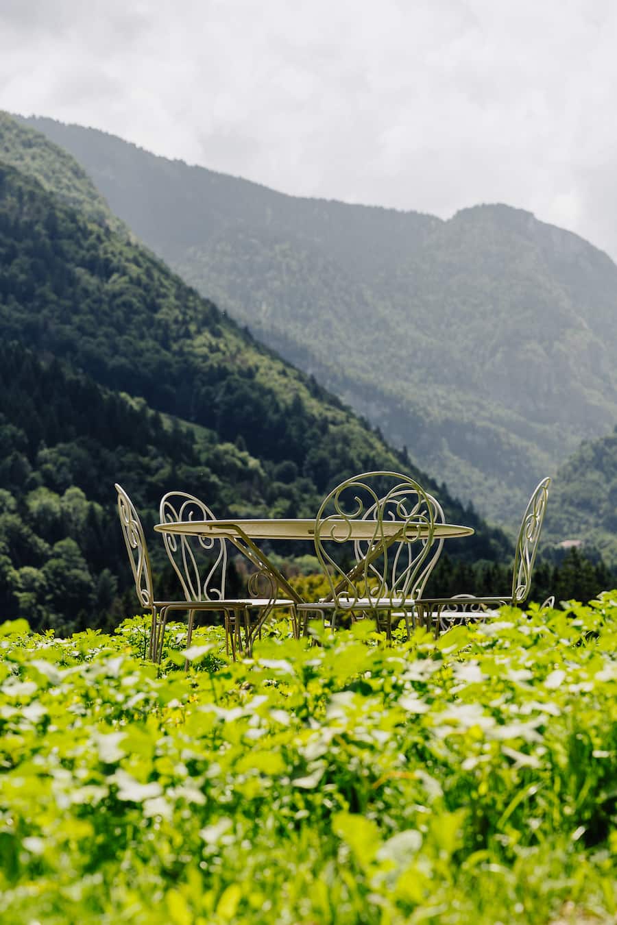 Frédéric Molina Vailly Forêt Ivre