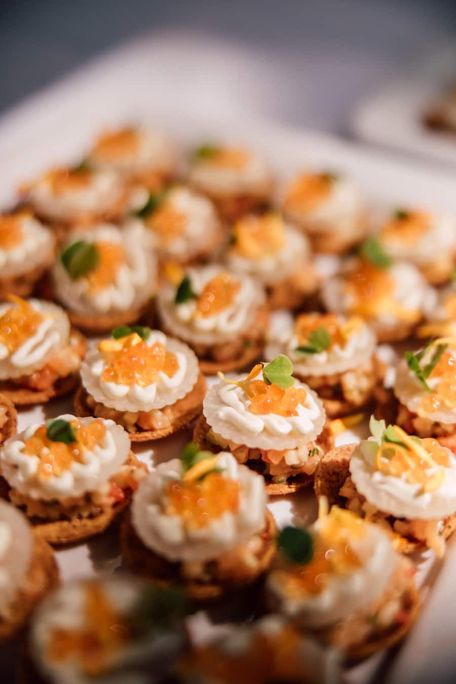 Frische Grüsse aus dem Tessin: Tartelettes mit geräucherter Forelle, grünem Apfel und Dill von Ambrogio Stefanetti.
