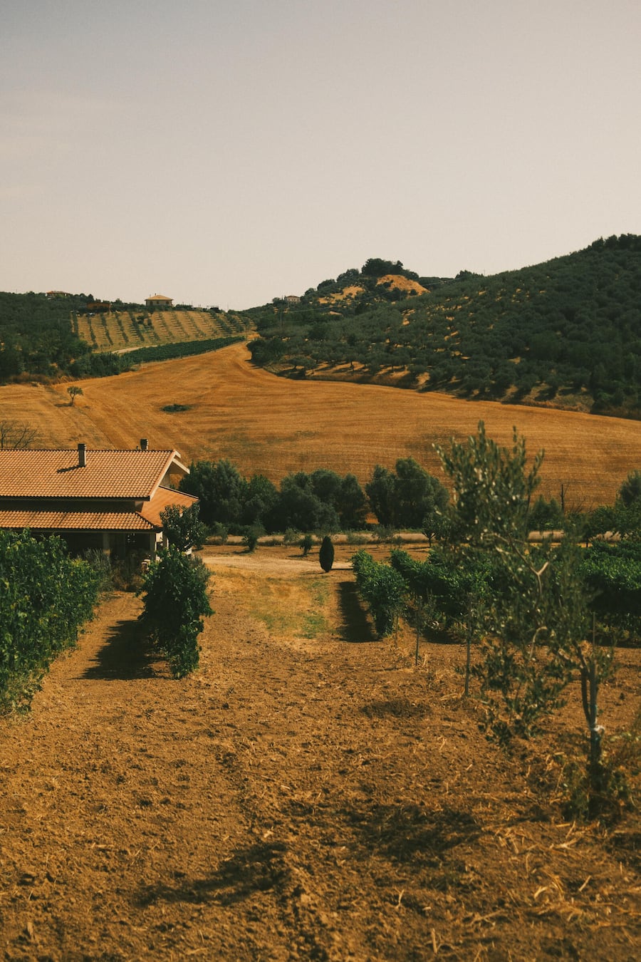Marco Ortolani in Abruzzo, Italien Pastamanufaktur und Tomatenbauern in Abruzzen
