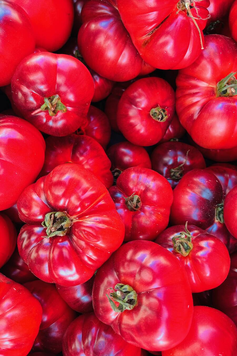 Tomaten Caspar Ruetz