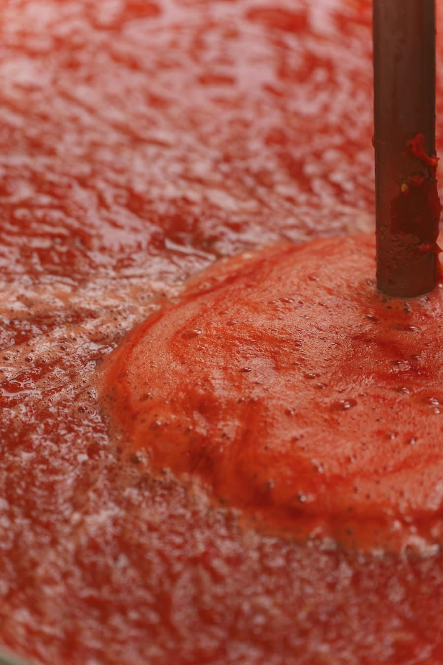 Tomaten und Olivenbauern Agenzia Agricola Belfiore in Loreto Aprutino Marco Ortolani und sein Team in Abruzzo, Italien Pastamanufaktur und Tomatenbauern in Abruzzen