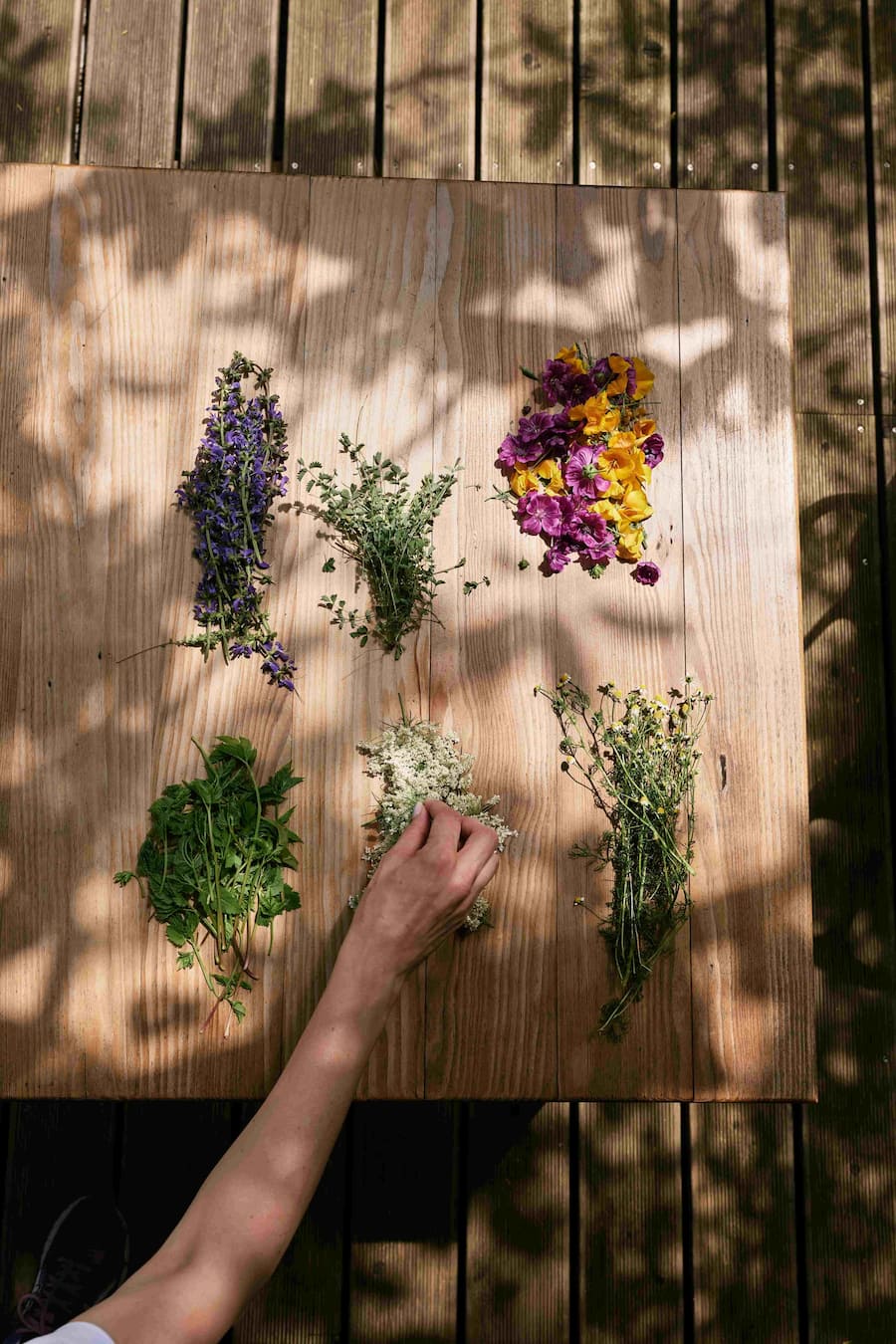 Blüten und Kräuter spielen in der Küche der Slowenin eine wichtige Rolle.