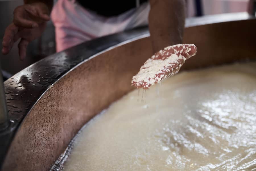 Benoît Kolly zeigt den Käsebruch. Für Gruyère ist er vergleichsweise fein.