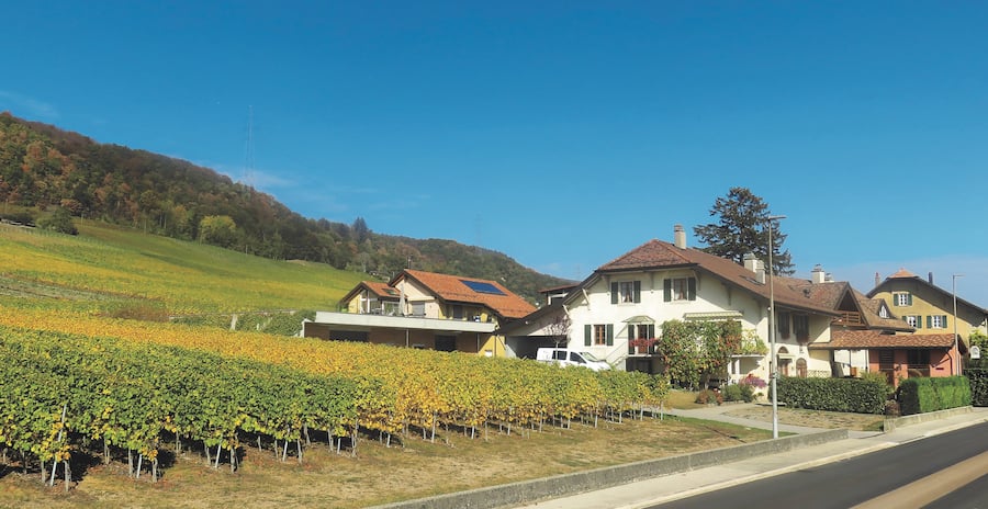 Cave de Rossillonnes