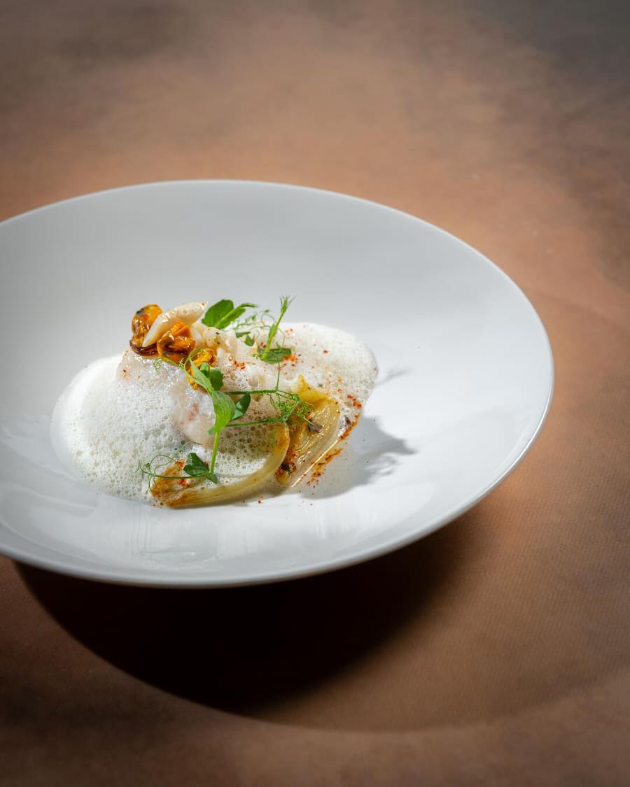 Christophe Pagnot Coté Square bristol