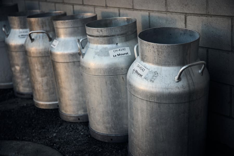 Die Milch kommt in der Käserei von Le Mouret aus höchstens fünf Kilometer Entfernung.