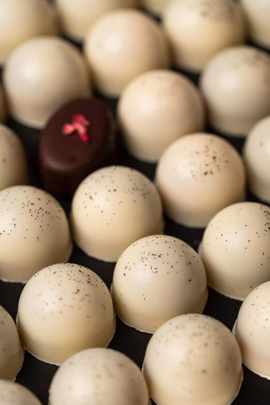 Tomas Prenosil, Sprüngli, Commesoie Die neue Hot Ten Pralinées-Collection, Sprüngli, Paradeplatz, Zürich, ZH Tomas Prenosil