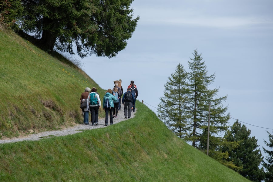 Gruppe auf dem Höreliweg