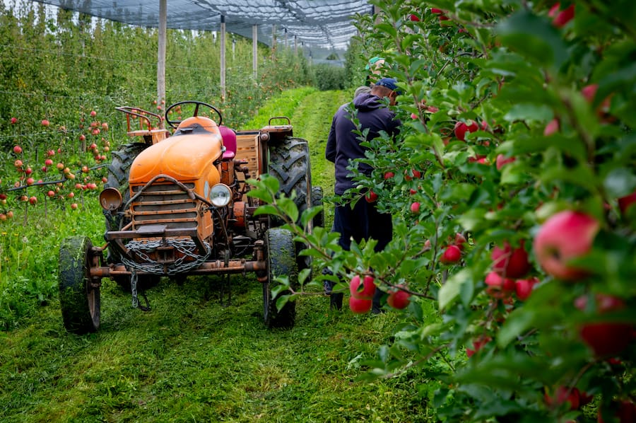 Léguriviera Jacot&Isabel Valentin Blondel L'Esprit du Fruit pomme