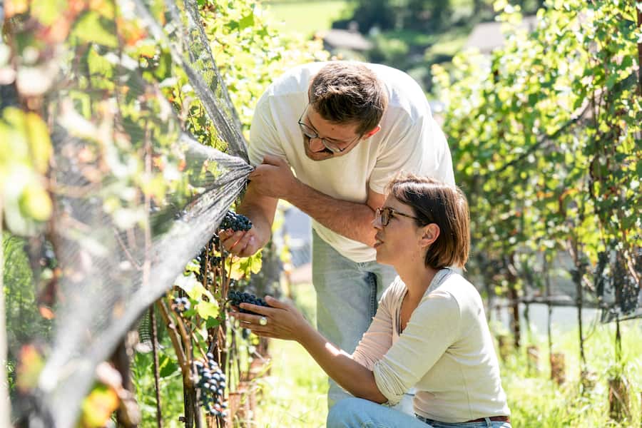 Mani Matte, Bio Weingut, Bellinzona, Luca Locatelli mit Partnerin Anna