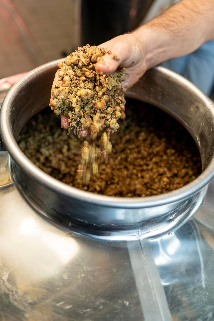 Mani Matte, Bio Weingut, Bellinzona, Maische von Johanniter