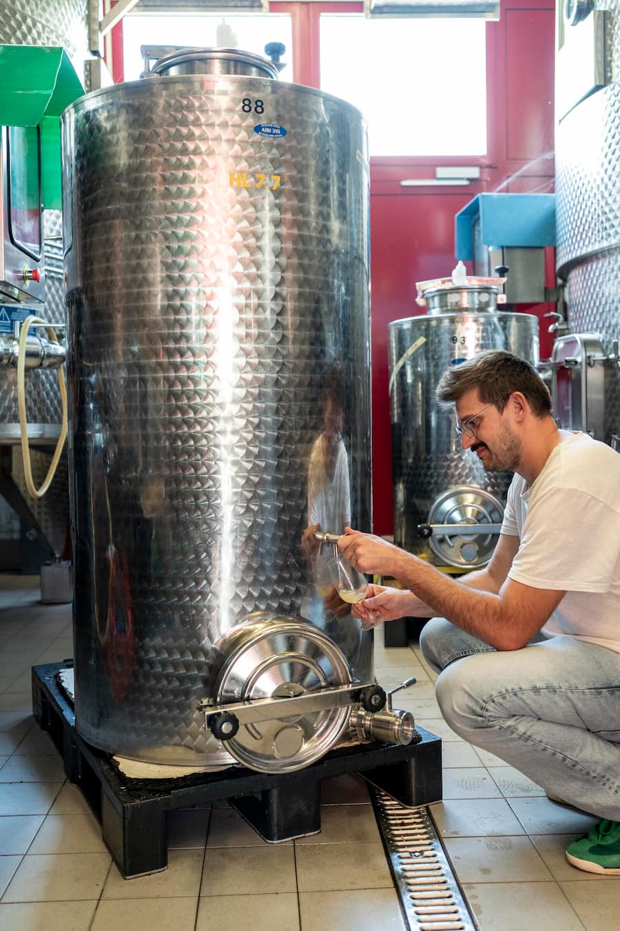 Mani Matte, Bio Weingut, Bellinzona, Luca Locatelli