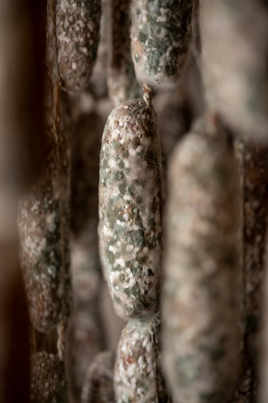 Piccoli Salami, Piotta, im Reifeklkeller