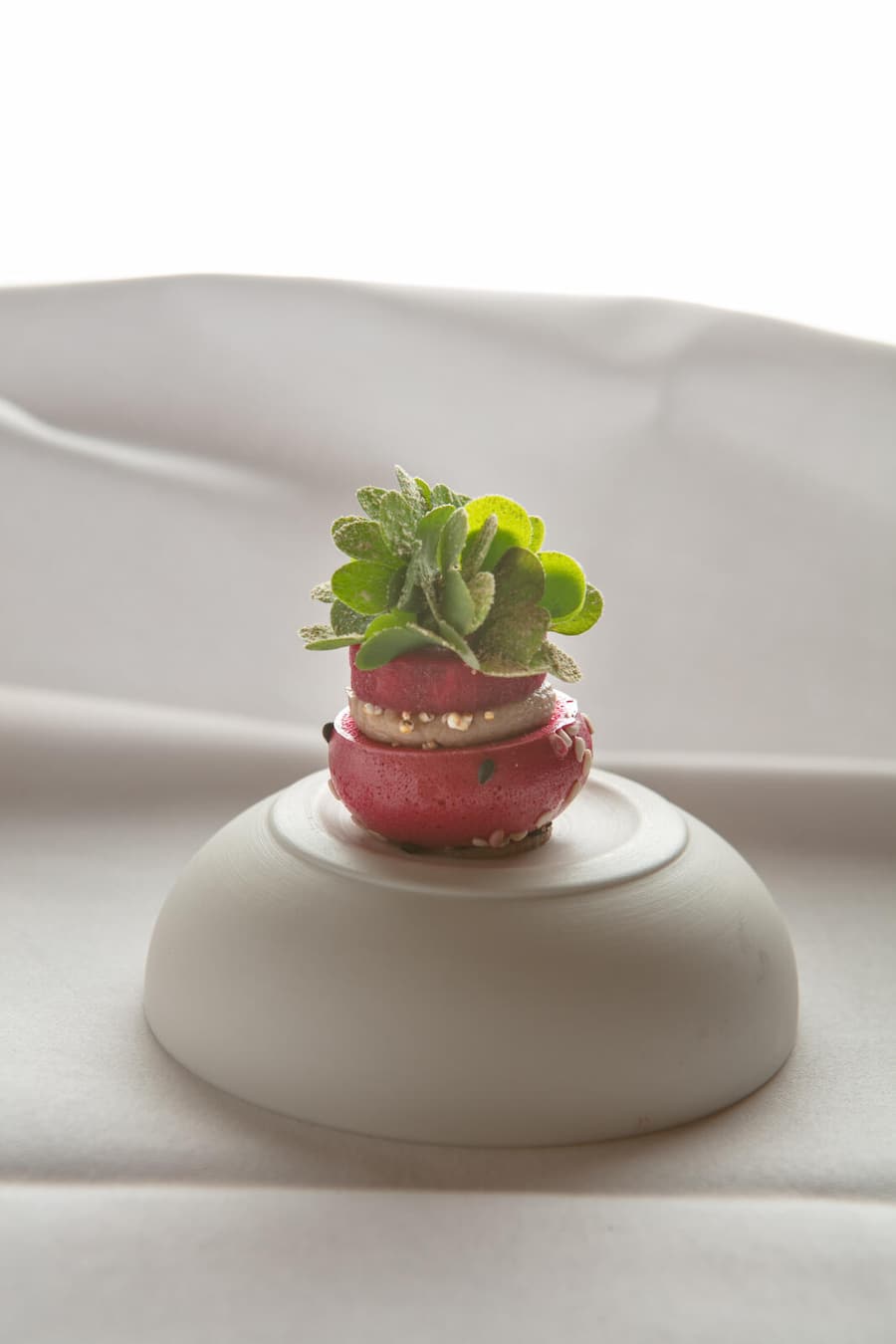 Noix Gras, Rande, Kräuter