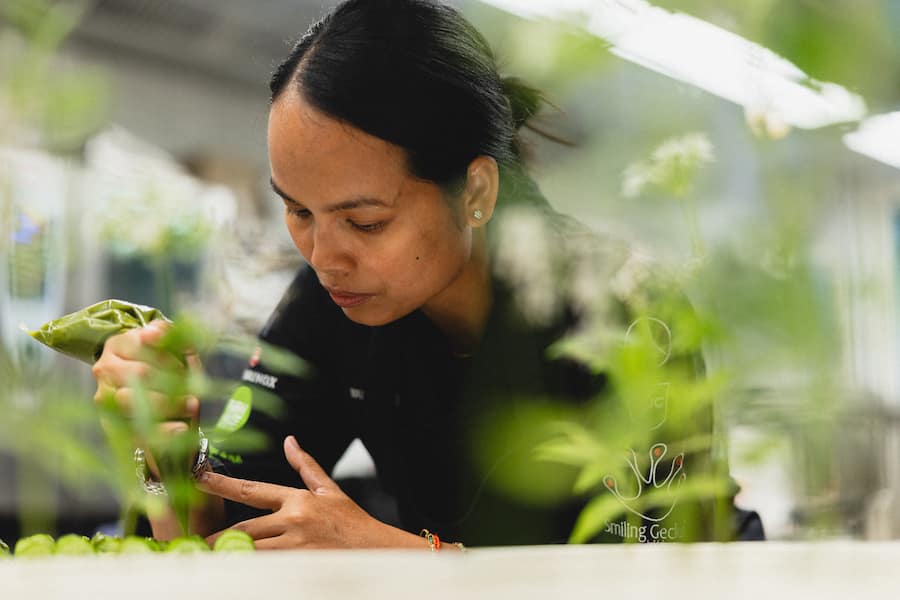 Tanja Grandits, Mariya Un Noun, Smiling Gecko, Charity Dinner,