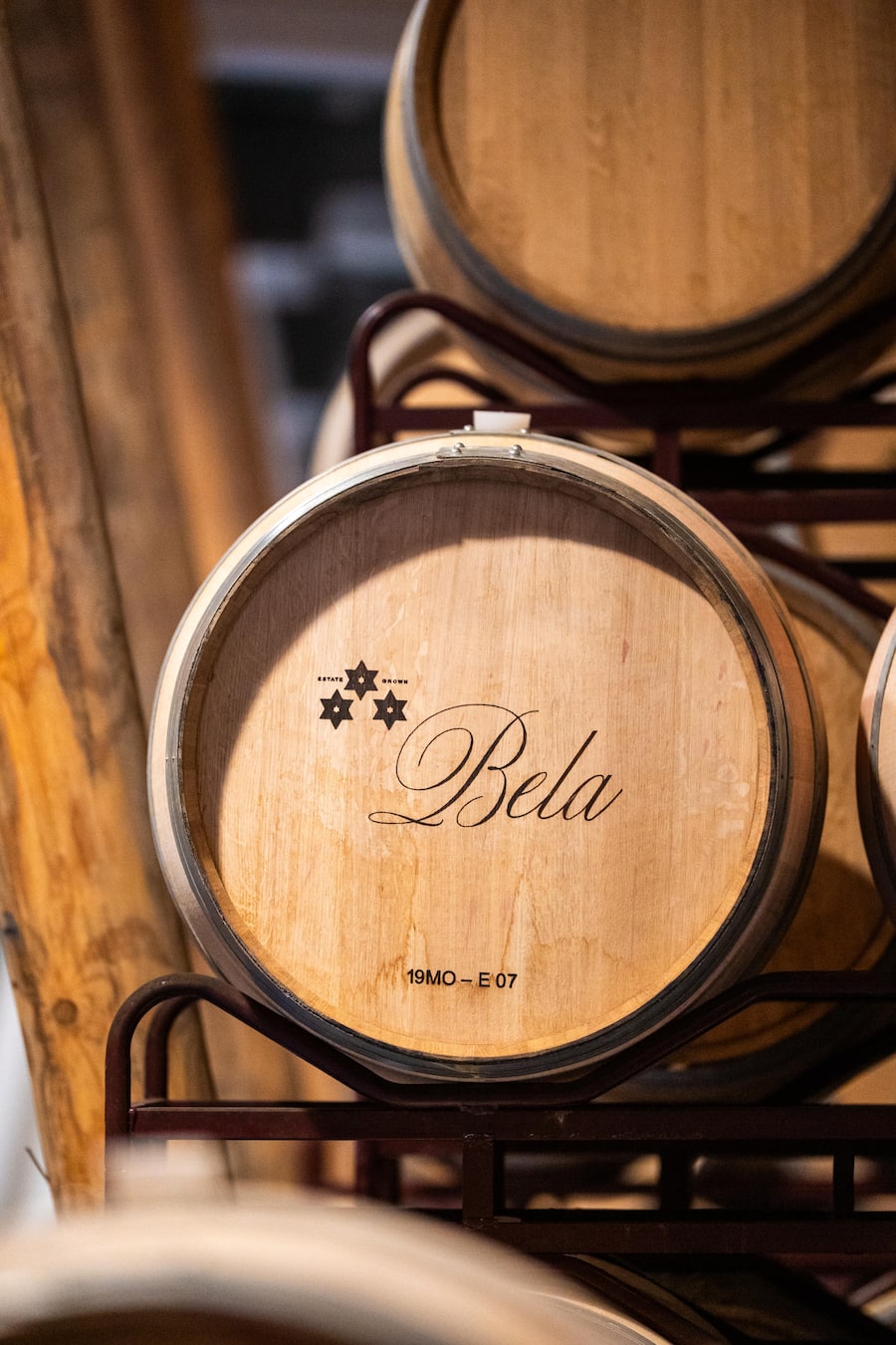 Schwarze Jacke Sara Juan, gelbe Jacke Maria Larrea und graue Jacke Maria Urrutia Ybarra Bodega Bela, Weingut CVNE, Villalba de Duero, Burgos, Spanien