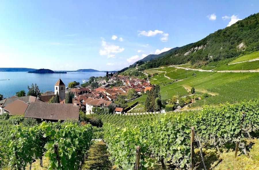 (v.l.n.r) Roman Thürig und Manuel Schneiter Domaine Bonnet du Fou, Twann, BE
