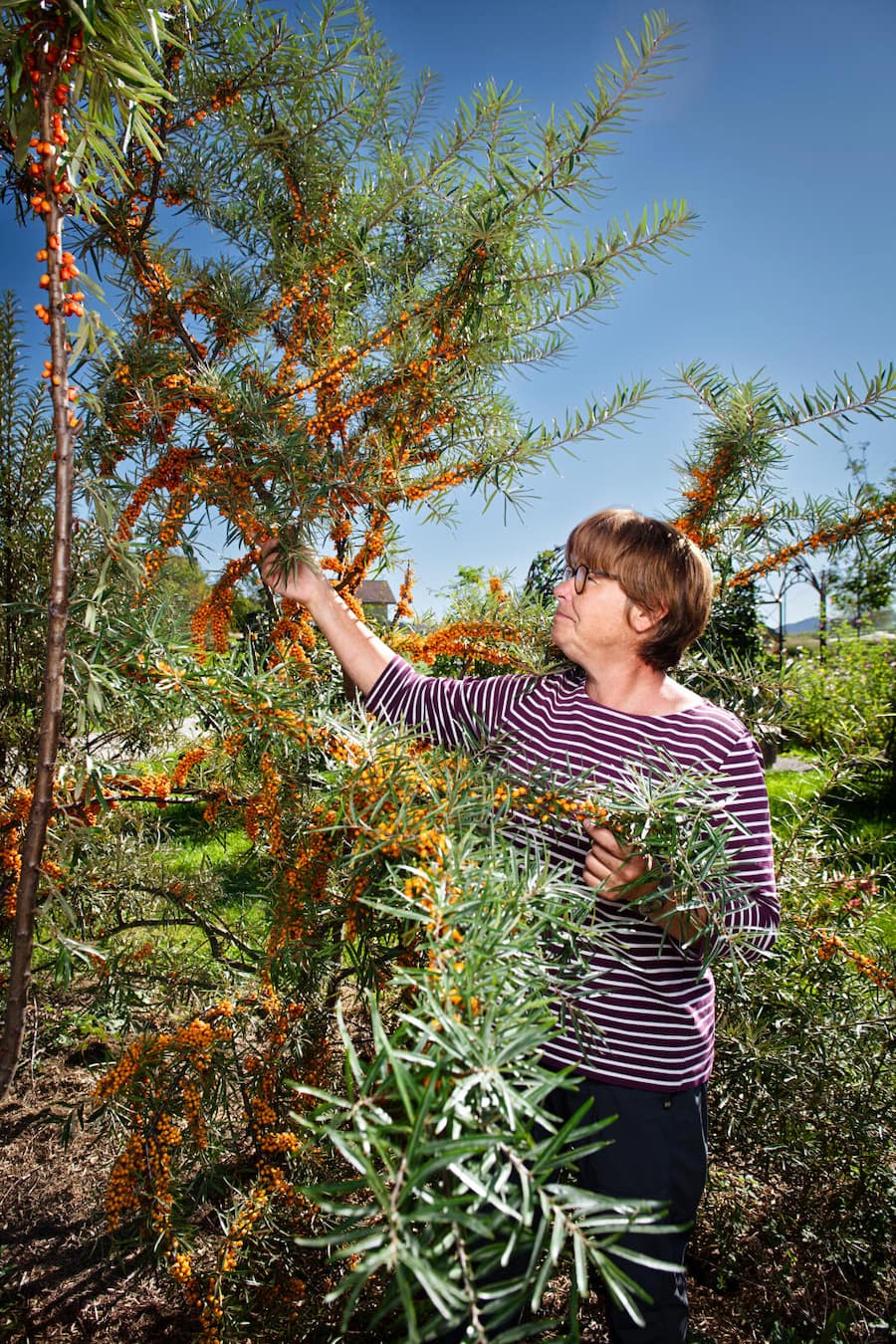 Elmir Medunjanin, Barchef vom Appenzeller Huus, zu Besuch in der Chrüterei in Stein mit der Geschäftsführerin Elsbeth Mettler, Stein, 18. September 2025