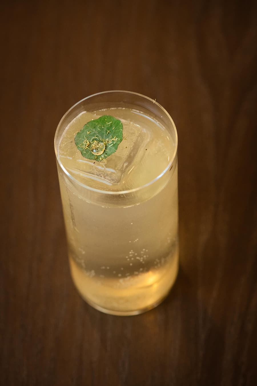 Elmir Medunjanin, Barchef vom Appenzeller Huus, in seinem Botanicum, Gonten, 18.09.2025