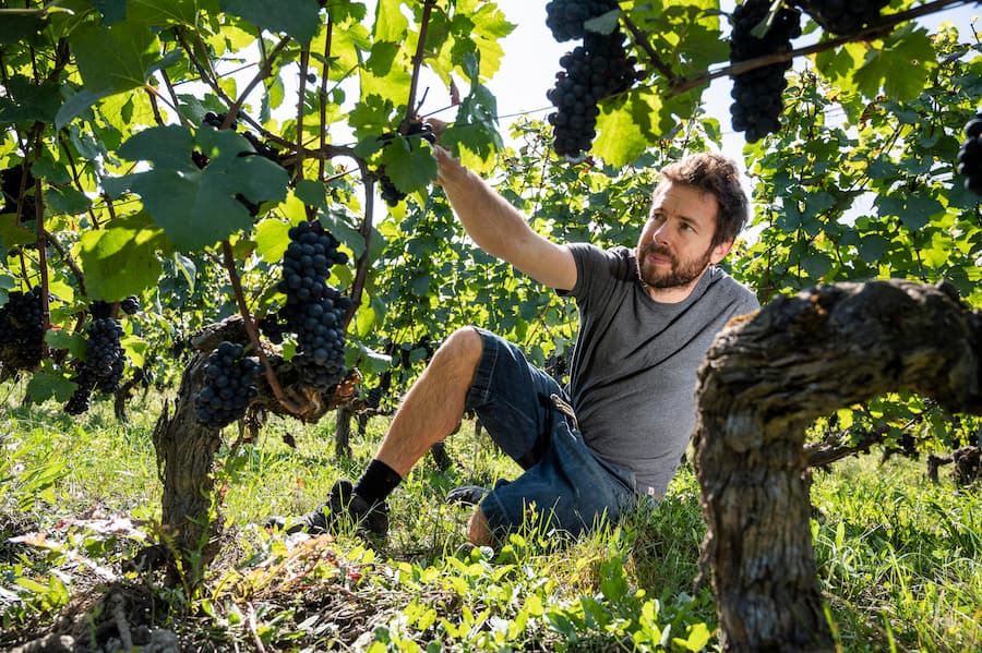 Damien Mermoud ,Mermoud Vignerons, Lully.