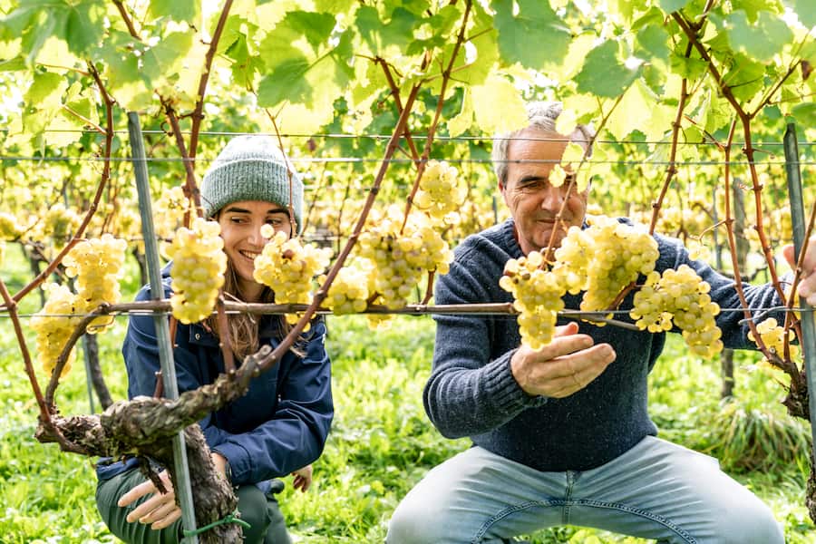 Davaz-Wein, Fläsch,Andrea mit Tochter Rebecca im Chardonnay-Rebberg