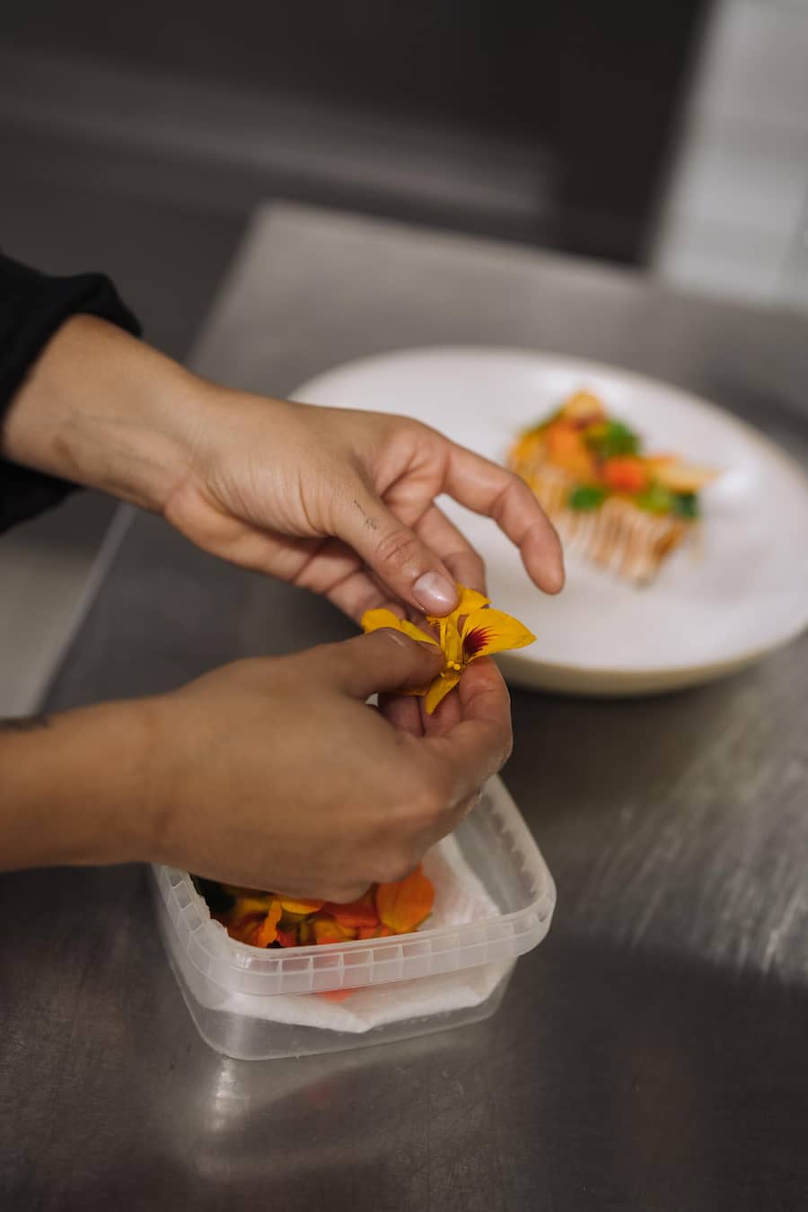 Drei Stuben Zurich - Corin Schmid - 1. Oktober 2025 - Copyright Olivia Pulver