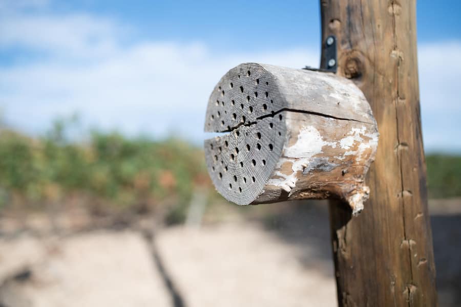 Faustino I Gran Risverva, Bodegas Faustino, Spanien Ricardo Goni Oses (blaues Shirt), Juan Jose Diez (Weiss), Carmen Martinez (blaues Hemd)