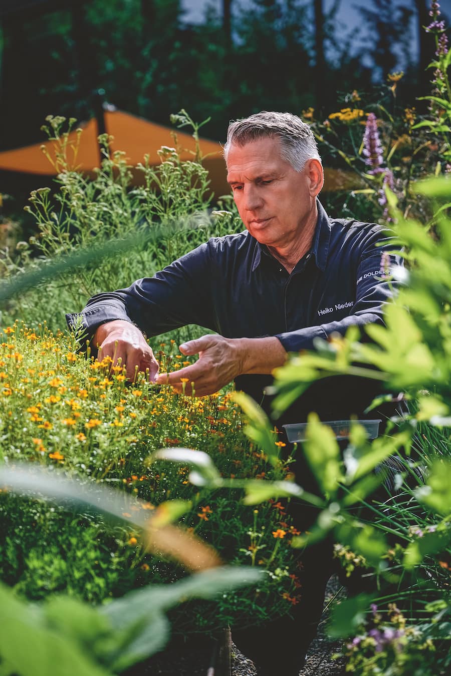 Heiko Nieder im Garten
