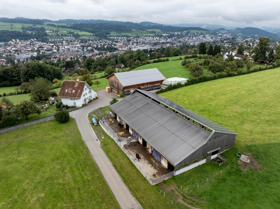 Hof Kirchli , Naturabeef, oberhalb St Gallen