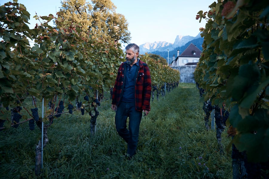 Jan Domenic Luzi, Weingut Sprecher, Bernegg.