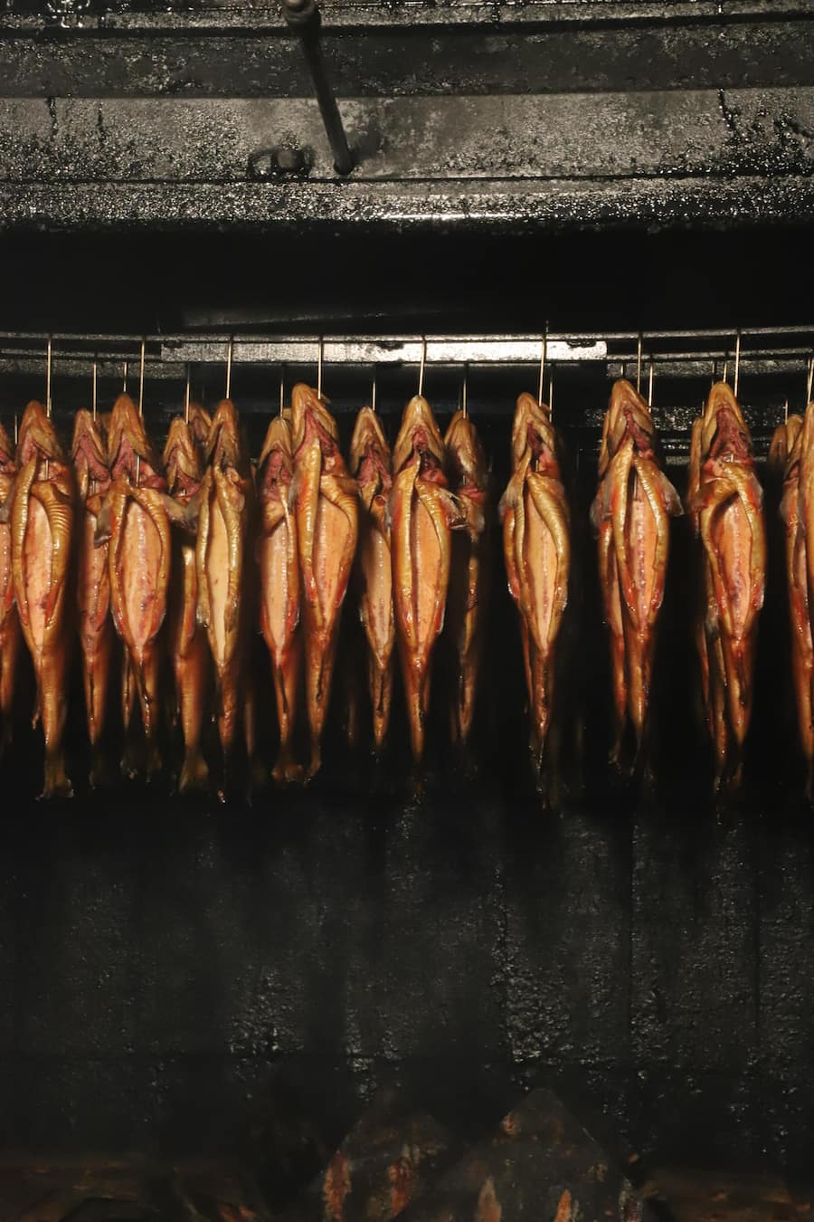 Räucherofen in der Birnbaum Fischfarm: Langsam lichtet sich der Rauch. goldfarbenen Saiblinge, Forellen und Aale zeigen sich von ihrer besten Seite