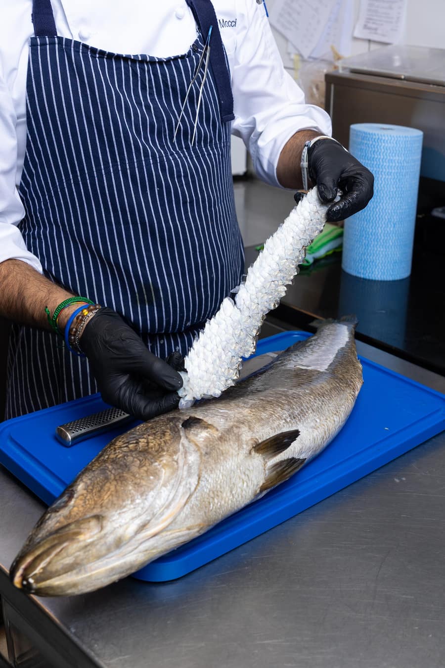 Dry Aged Fish im Hönggerhof Fotografiert am 30.10.2025 Küchenchef Andrea Mocci beim Zubereiten des Fisches bevor es in den 'Dry Kasten' geht.
