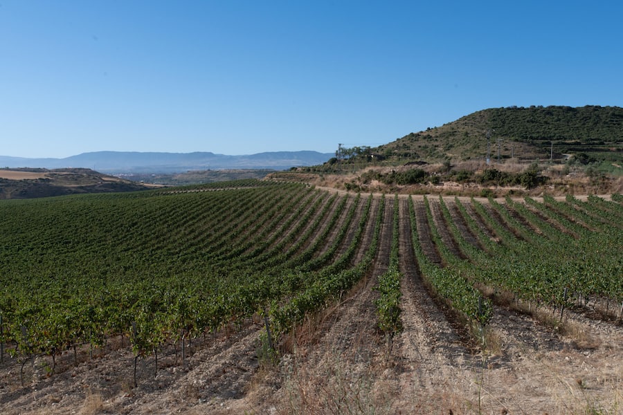 Faustino I Gran Risverva, Bodegas Faustino, Spanien Ricardo Goni Oses (blaues Shirt), Juan Jose Diez (Weiss), Carmen Martinez (blaues Hemd)