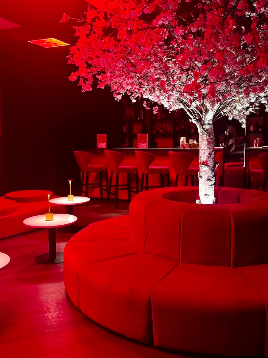 GAULTMILLAU-CHANNEL-GENEVE-DANNY-KHEZZAR-IZAKAYA