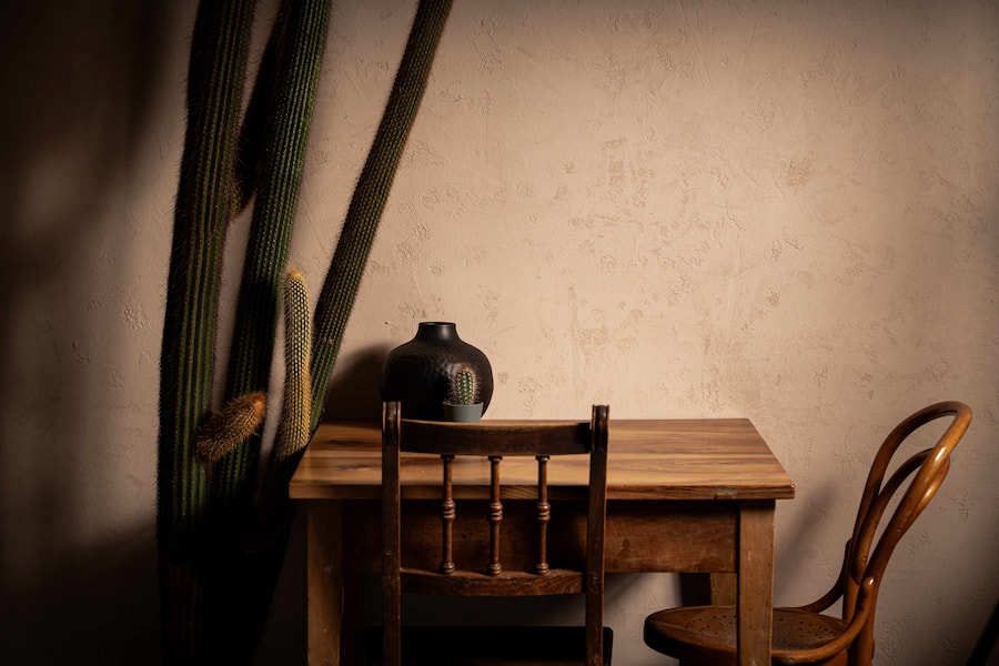 Kakteen und rustikale Holzmöbel – da werden die Gringos auch schon bald kommen.