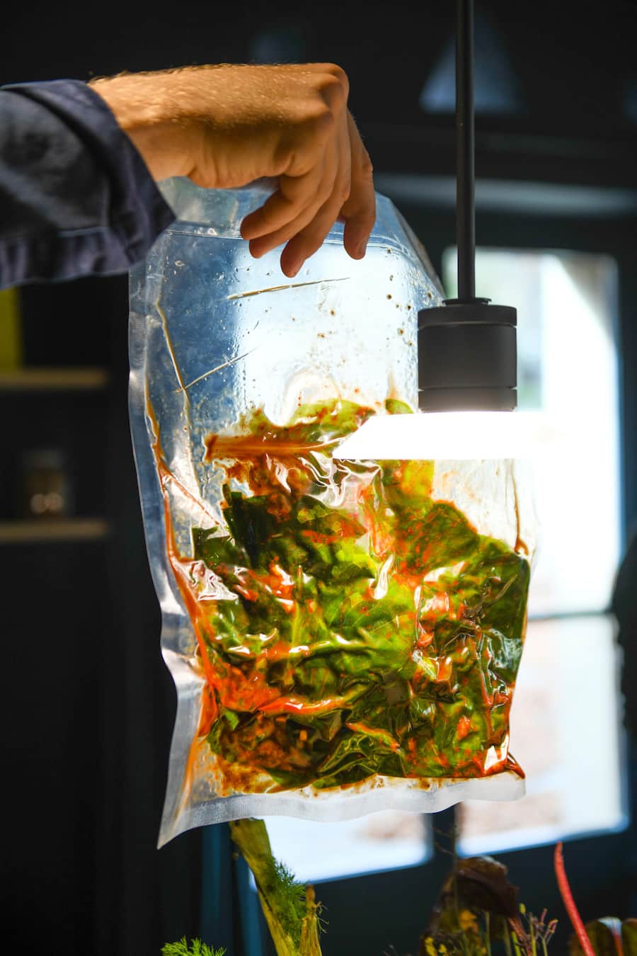 Andreas Caminada, Spitzenkoch gibt Kochkurs in Zusammenarbeit mit Bio-Cuisine, auf Schloss Schauenstein im OZ, 14. November 2025, Fürstenau GR, Fermentierter Kopfsalat Caminada & sein Bio-Cuisine-Kochkurs