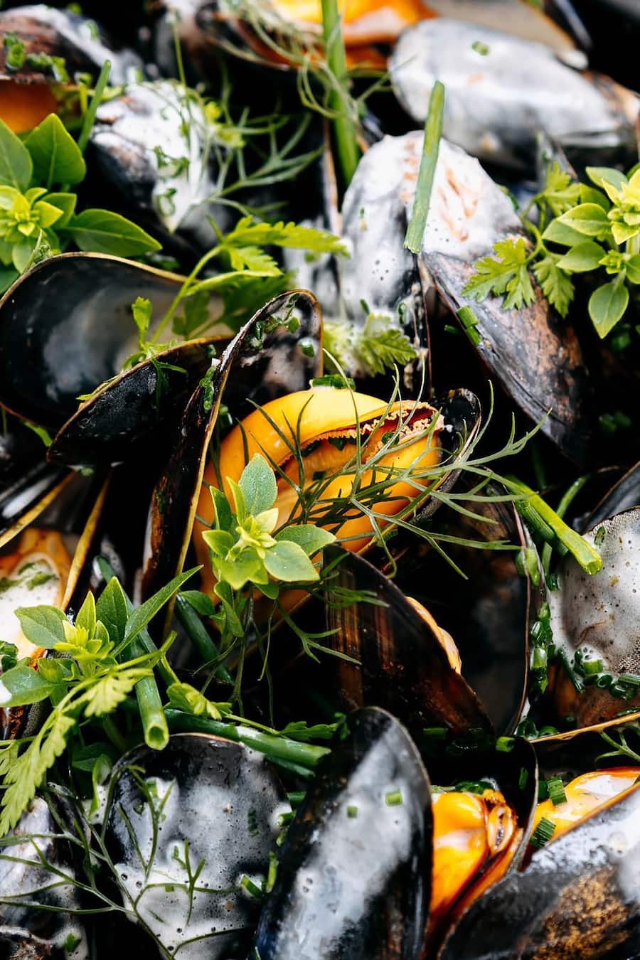 Muscheln Sergio Herman