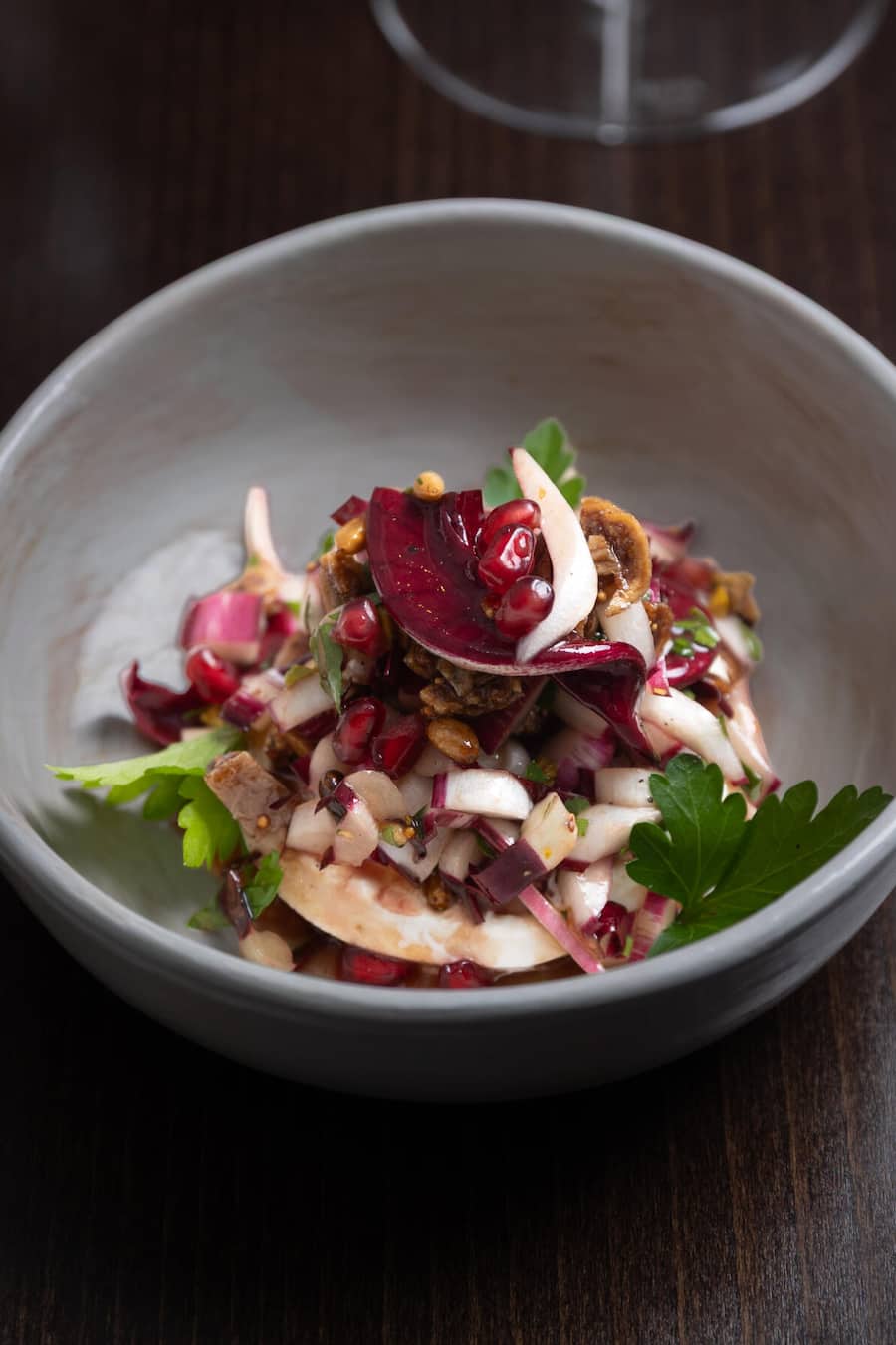 Oerlikon-Report Fotografiert am 19.11.2026 in Oerlikon Restaurant Ustaria Gericht: Buratta, Cicorino Trevisano, tardivo, Trockenfrüchte, Granatapfel, Pinienkerne